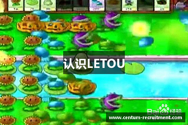 认识LETOU